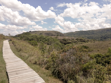 Brazilian landscape in Tibagi